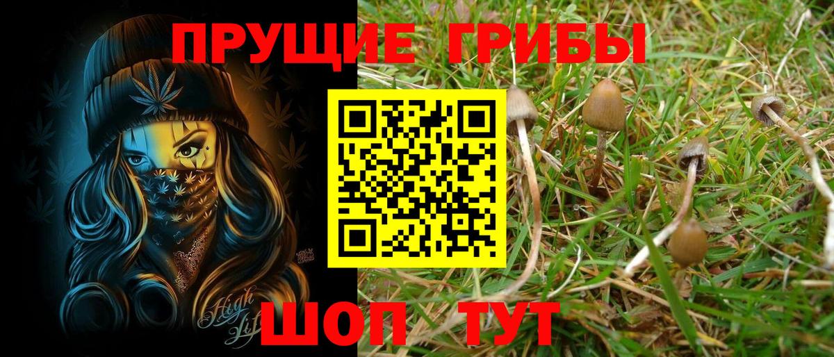Галлюциногенные грибы ЛСД Таганрог